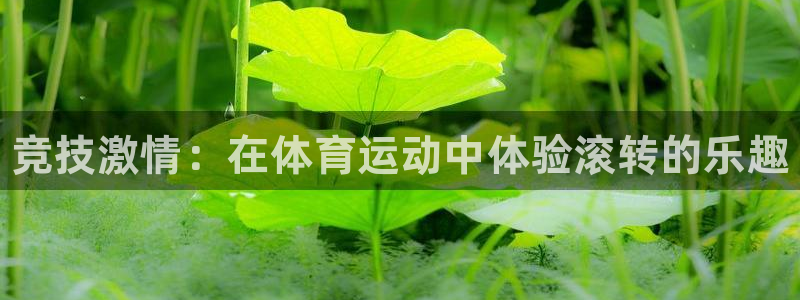 凯发官网下载平台注册：竞技激情：在体育运动中体验滚转