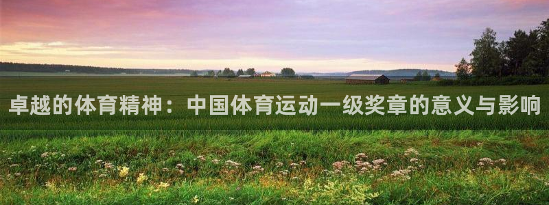 凯发官方正版app代理：卓越的体育精神：中国体育运动