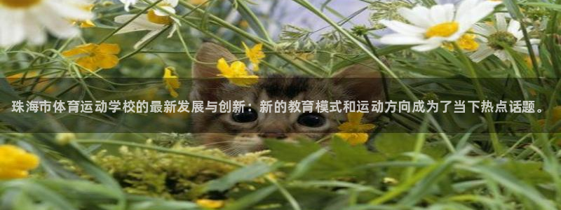 凯发官网下载招商电话是多少号码：珠海市体育运动学校的