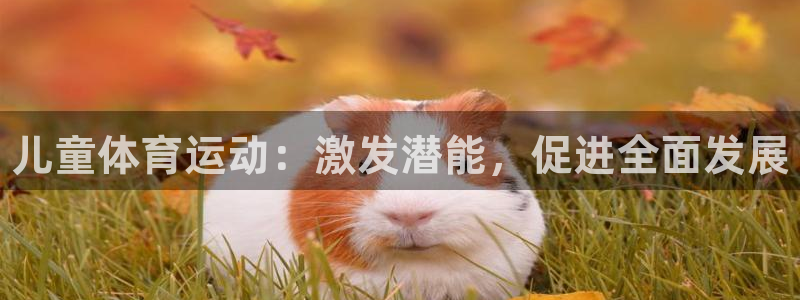 凯发官方正版app新能源：儿童体育运动：激发潜能，促