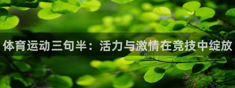 凯发官网下载招商电话是多少啊：体育运动三句半：活力与