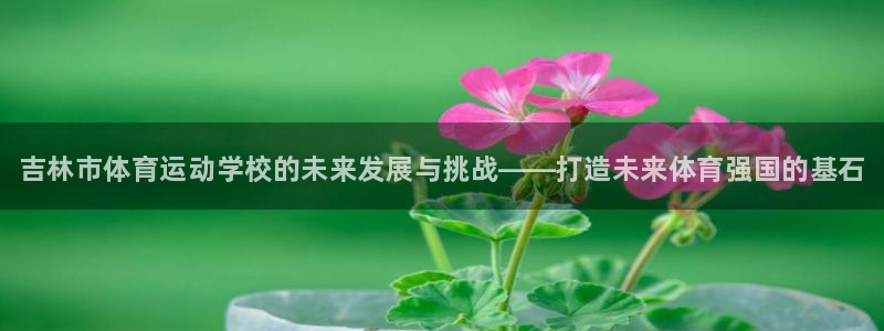 凯发官网下载平台