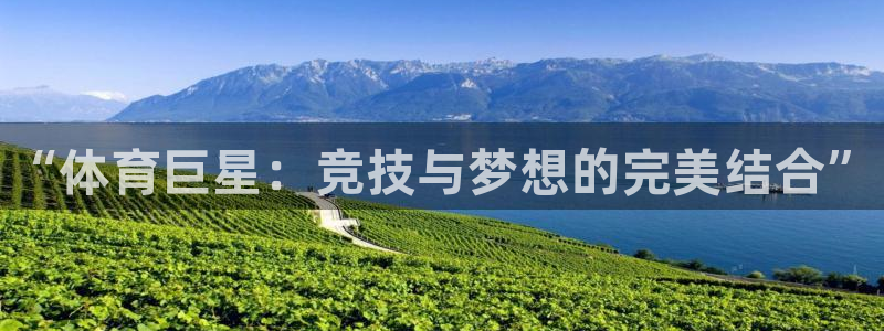 凯发官方正版app娱乐40996：“体育巨星：竞技与
