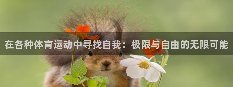 凯发官方正版app娱乐代理怎么样：在各种体育运动中寻找自我：