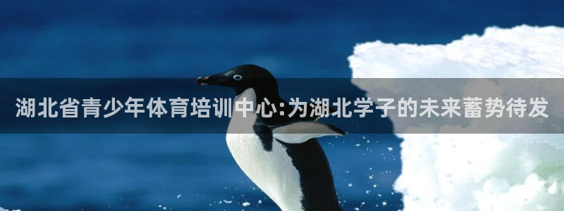 凯发官方正版app娱乐平台：湖北省青少年体育培训中心:为湖北
