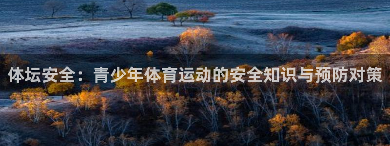 凯发官方正版app集团logo：体坛安全：青少年体育运动的安