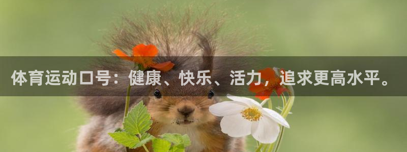 凯发官方正版app科技：体育运动口号：健康、快乐、活力，追求