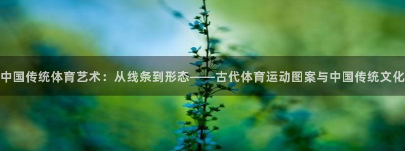 凯发官网下载招商电话地址是多少：中国传统体育艺术：从线条到形