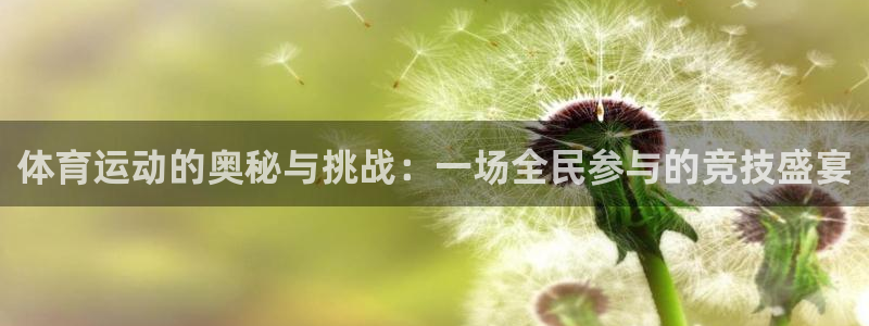 德国凯发官方正版app集团：体育运动的奥秘与挑战：一场全民参