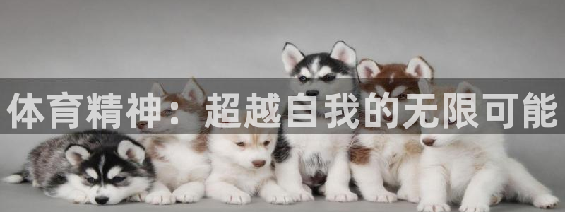 凯发官方集团官网：体育精神：超越自我的无限可能