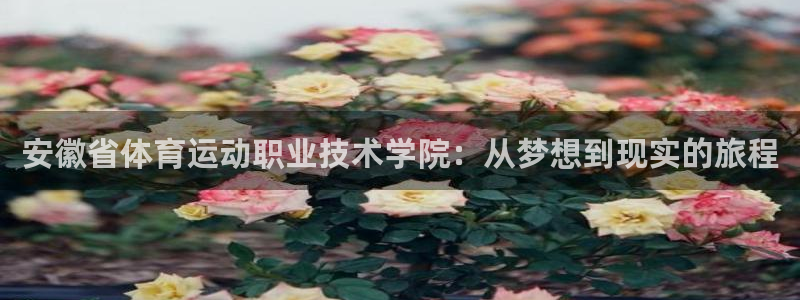 凯发官网下载招商电话号码查询：安徽省体育运动职业技术学院：从