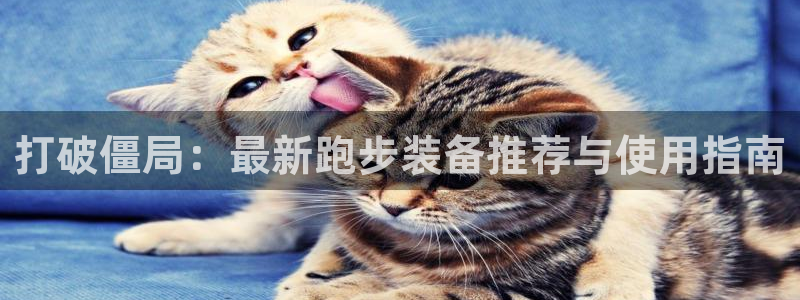 凯发官方正版app官方