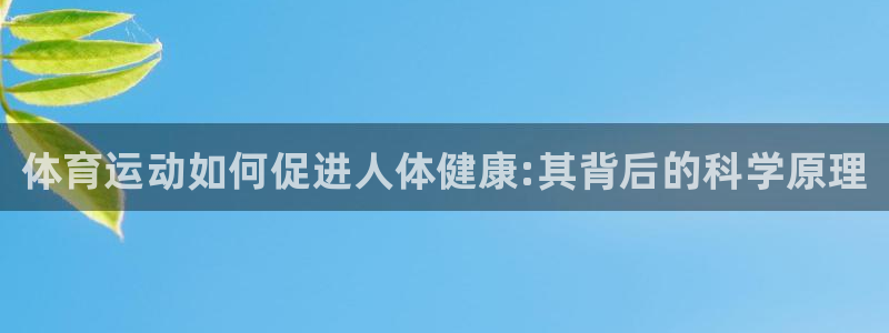 凯发官方正版app娱乐首页网站大全