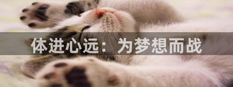 凯发官网下载招商电话地址是多少：体进心远：为梦想而战