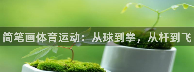 凯发官方正版app娱乐平台：简笔画体育运动：从球到拳，从杆到