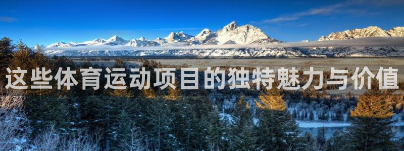 注册凯发官方正版app：这些体育运动项目的独特魅力与