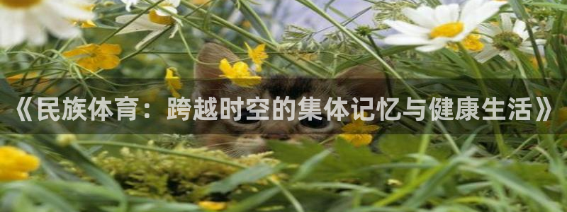 凯发官网下载平台注册流程图：《民族体育：跨越时空的集