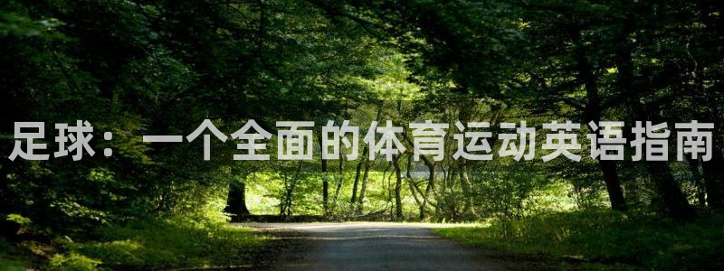 凯发官方正版app娱乐下载：足球：一个全面的体育运动