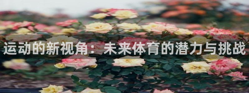 凯发官方正版app集团官网首页网址:运动的新视角:未来体育的