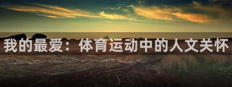凯发官方正版app新能源：我的最爱：体育运动中的人文