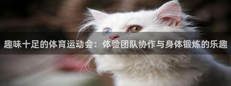 凯发官网下载软件：趣味十足的体育运动会：体验团队协作与身体锻