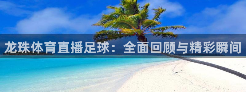 nba鲸鱼体育