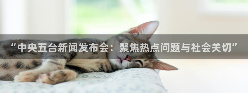 鲸鱼体育nba直播在线观看免费