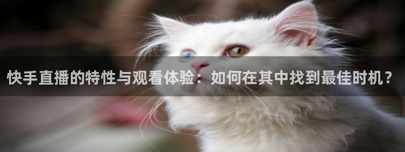 鲸鱼nba直播在线观看