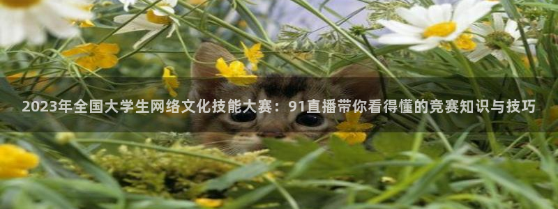 鲸鱼体育