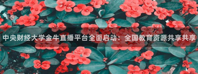 鲸鱼体育直播在线观看