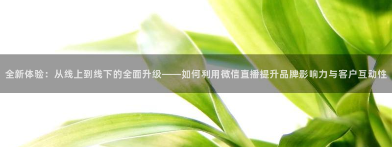鲸鱼体育在线观看
