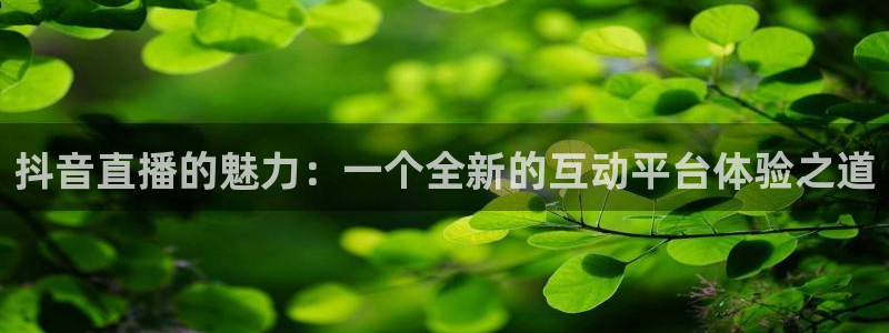鲸鱼体育在线直播高清：抖音直播的魅力：一个全新的互动平台体验之道